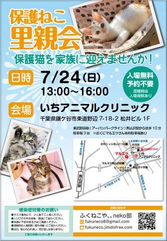 鎌ケ谷開催♪ふくねこや。。neko部　保護ねこ里親会