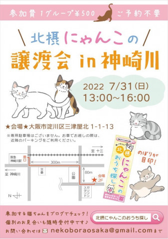 仔猫だらけのの譲渡会