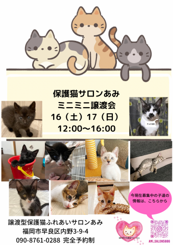 保護猫ふれあいサロンあみ譲渡会