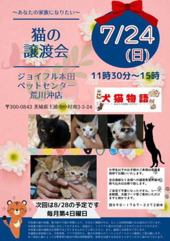 猫の譲渡会～あなたの家族になりたい～