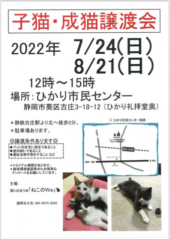 ねこのWa猫譲渡会　静岡市葵区