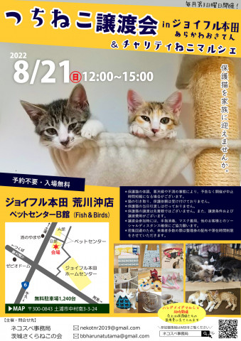 つちねこ譲渡会