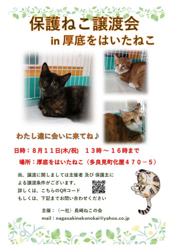 保護ねこ譲渡会 in 厚底をはいたねこ