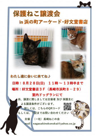 保護ねこ譲渡会 in 長崎市 浜町アーケード好文堂書店