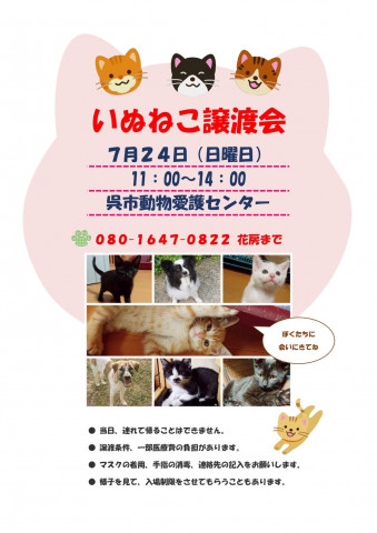 いぬねこ譲渡会