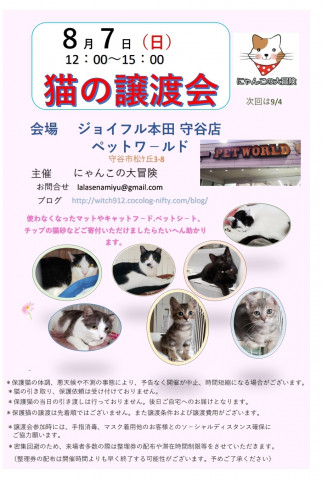 保護猫譲渡会　ジョイフル本田守谷店ペットワールド