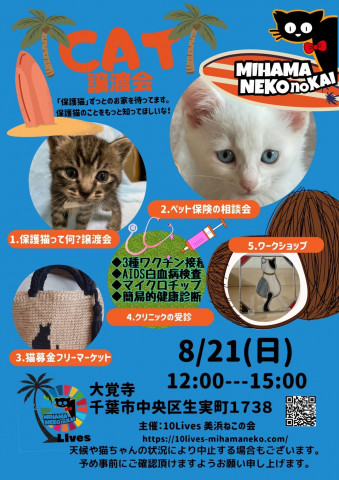 ねこの譲渡会