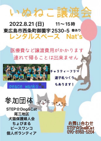 東広島いぬねこ譲渡会！