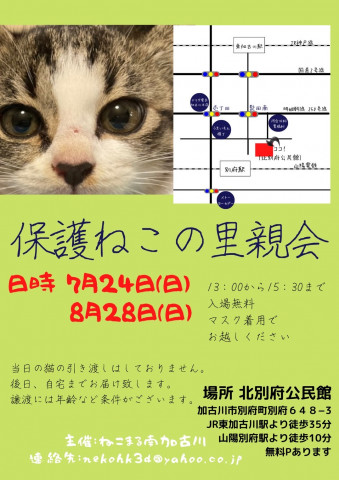 ほごねこの里親会