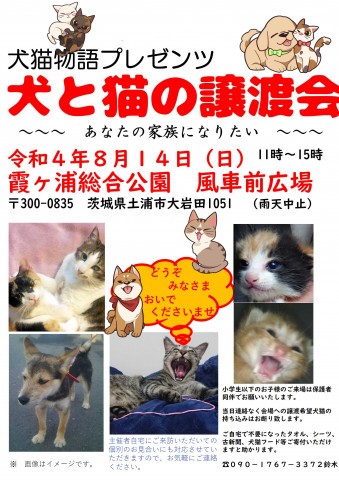 犬と猫の譲渡会～あなたの家族になりたい～