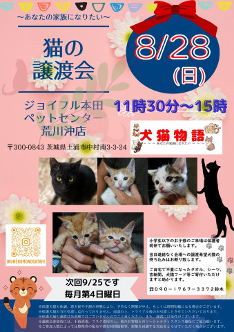 猫の譲渡会～あなたの家族になりたい～