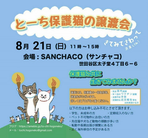 とーち保護猫の譲渡会