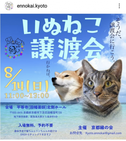 いぬねこ譲渡会