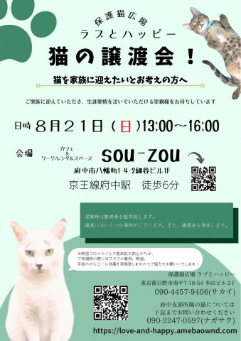 ラブとハッピー 猫の譲渡会