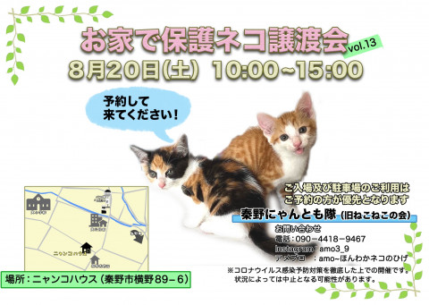 お家で保護猫譲渡会