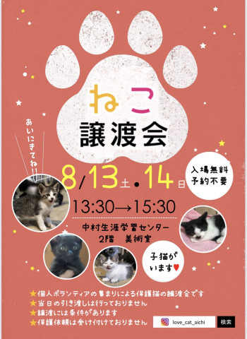 ねこの譲渡会（名古屋市中村区）