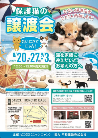 保護猫の譲渡会