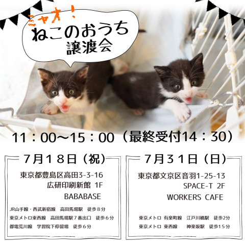 ミャオ！ねこのおうち譲渡会