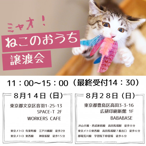 ミャオ！ねこのおうち譲渡会