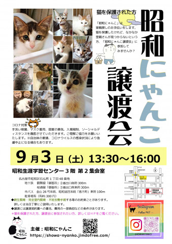 昭和にゃんこ譲渡会　in　名古屋市昭和区