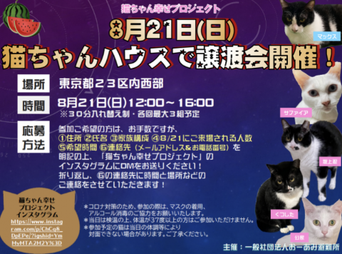 『猫ちゃん幸せプロジェクト』譲渡会