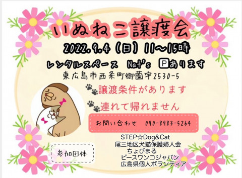 東ひろしま　犬猫譲渡会