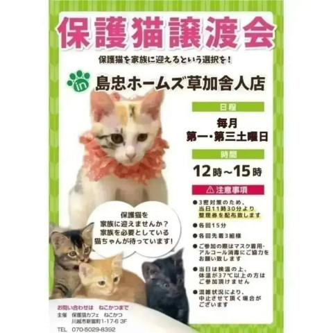 保護猫譲渡会