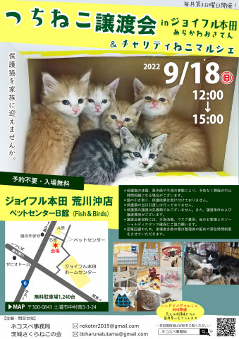 つちねこ譲渡会