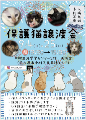 中村生涯学習センター・猫の譲渡会