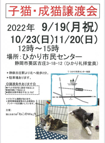 ねこのWa猫譲渡会　静岡市葵区