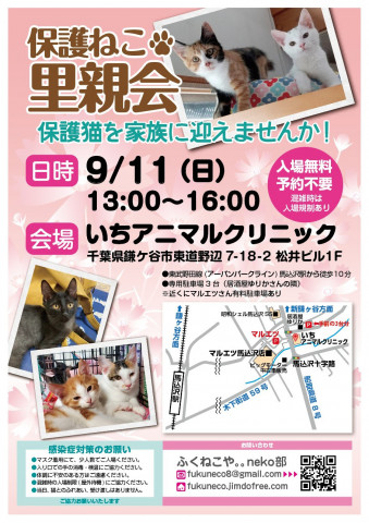 鎌ケ谷開催♪ふくねこや。。neko部　保護ねこ里親会