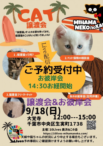 ねこの譲渡会&秋のお彼岸会