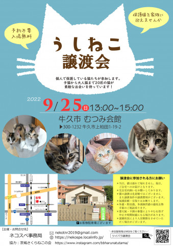 うしねこ譲渡会