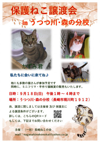 保護ねこ譲渡会 inうつつ川･森の分校