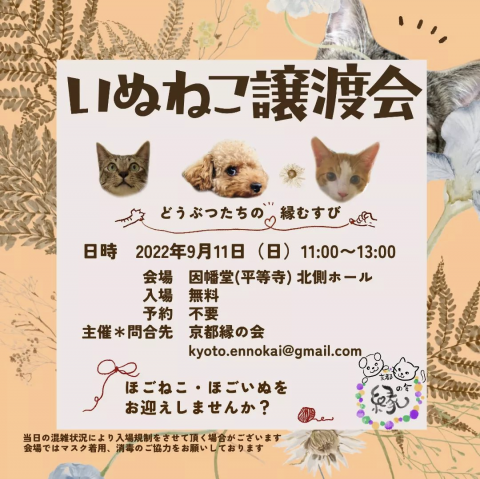 いぬねこ譲渡会