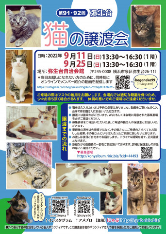 弥生台　猫の譲渡会