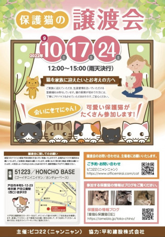 『保護猫の譲渡会』中止のお知らせ！