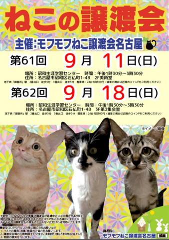 猫の譲渡会　in　名古屋市昭和生涯学習センター