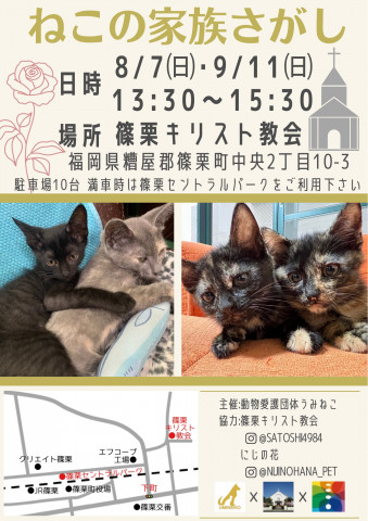 ねこの家族さがしin篠栗キリスト教会