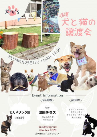 保護犬と猫の譲渡会　