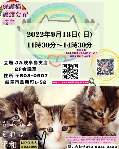 保護猫譲渡会in岐阜