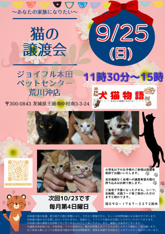 猫の譲渡会～あなたの家族になりたい～