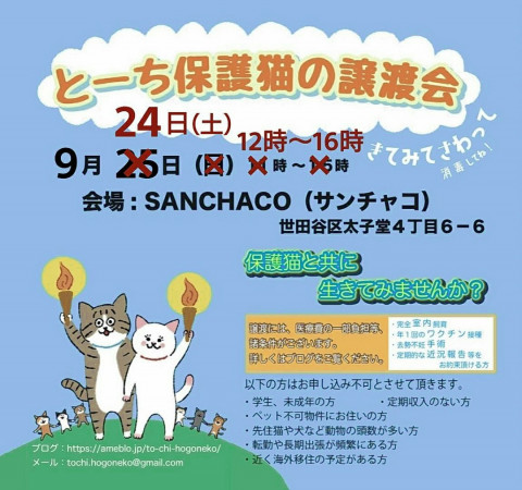 とーち保護猫の譲渡会