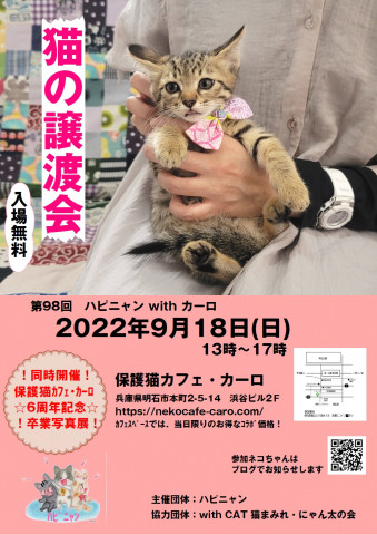 【明石】ハピニャン with カーロ　猫の譲渡会