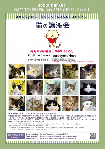 Bootymarket × [sakuraneko] 猫の譲渡会