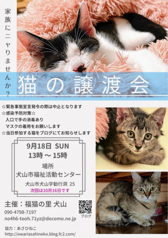 猫の譲渡会@犬山市福祉活動センター