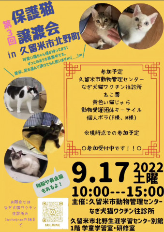 保護猫譲渡会in久留米 猫の譲渡会掲示板 ネコジルシ