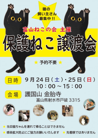 保護ねこ譲渡会