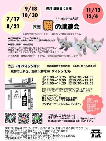 animalista古都　保護猫の譲渡会