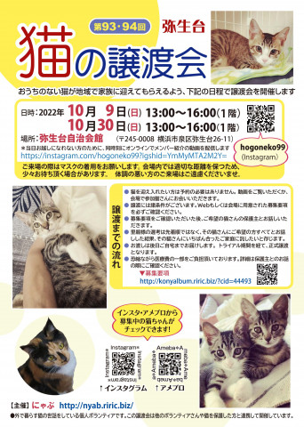 弥生台　猫の譲渡会